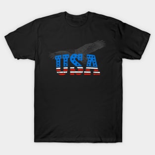 USA America Eagle Vintage Grunge Freedom T-Shirt